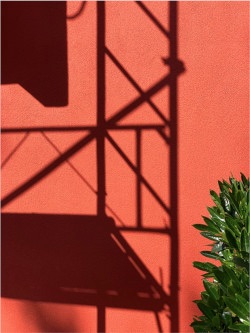 Patrick LANDMANN feuilles et ombres mur rouge